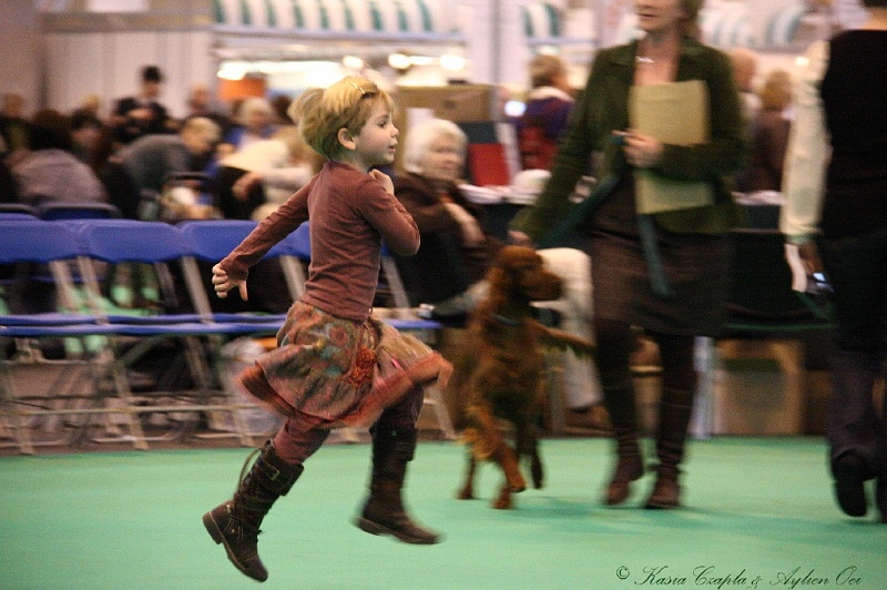 Crufts2011_2 139.jpg